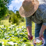 agricultura_familiar